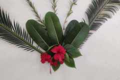 WhatsApp-Image-2025-11-19-at-14.53.46_36014f23