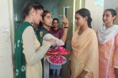 Orientation Programme 2023