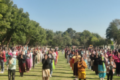 Yoga Activity 2024- 25 सूर्य नमस्कार